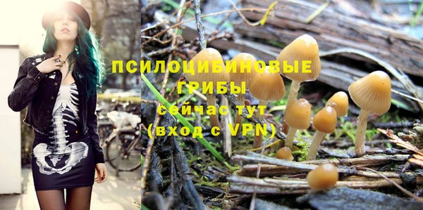 PSILOCYBIN Новокубанск