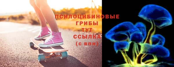 спайс Няндома