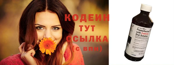 спайс Няндома