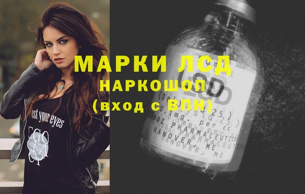 спайс Няндома