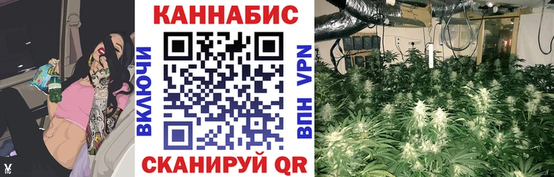 Бошки марихуана Bruce Banner  Сорочинск 